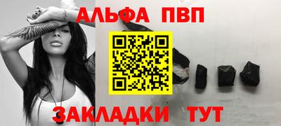 дмт Бийск