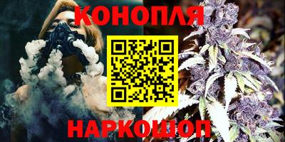 дмт Бийск