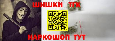 дмт Бийск
