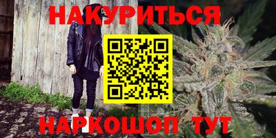 дмт Бийск