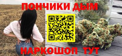 дмт Бийск