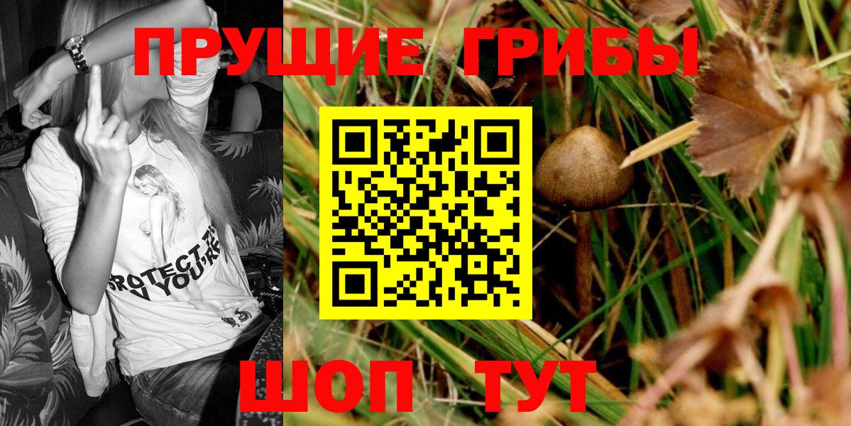  COCAIN Кандалакша