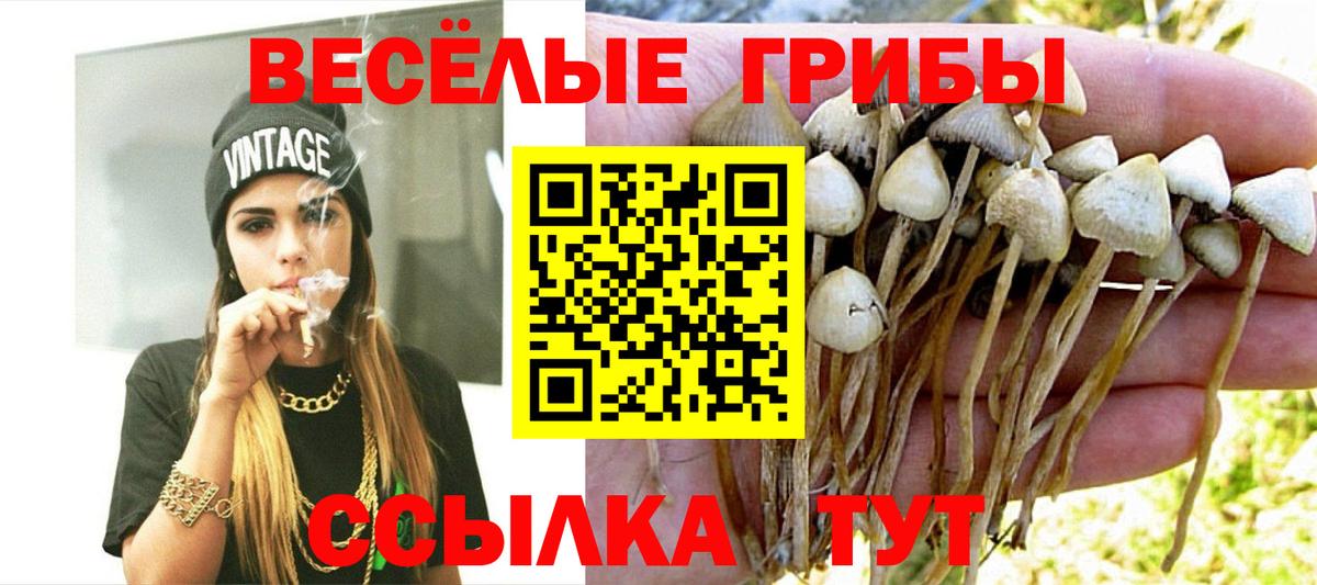 Псилоцибиновые грибы Magic Shrooms Кандалакша