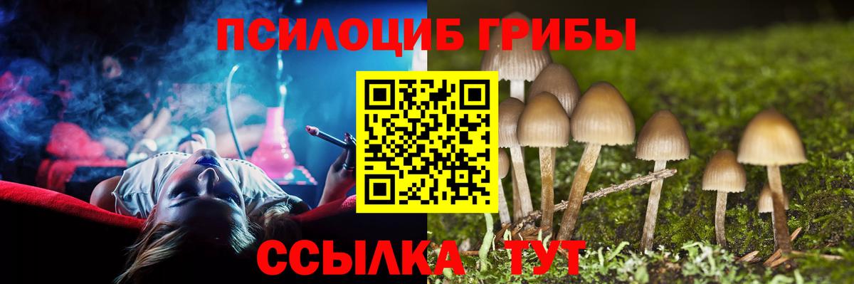 Галлюциногенные грибы GOLDEN TEACHER  Кандалакша  Галлюциногенные грибы Psilocybine cubensis 