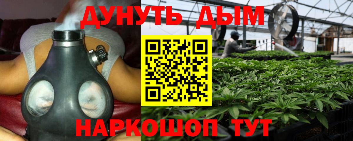 МАРИХУАНА Bruce Banner  Каннабис планчик  Вход с VPN  Кандалакша  Конопля тримм 